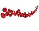 —Pngtree—3d-blood-cells-illustration_8789566-1-e1718417484646.png